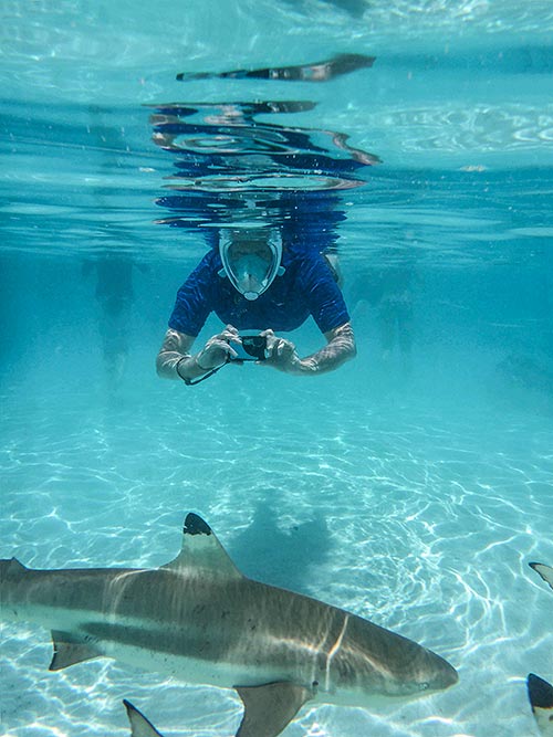 Dr_Anne_Small_Sharks_P1000307